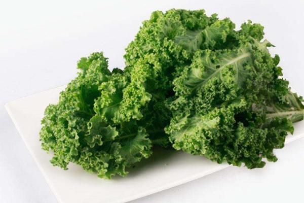 羽衣甘藍(lán)可以生吃嗎 羽衣甘藍(lán)怎么做好吃