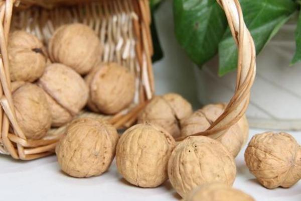 核桃殼的功效與作用及禁忌 煮核桃殼有什么功效與作用