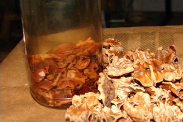 核桃殼泡水喝有什么好處 大核桃殼的功效與作用