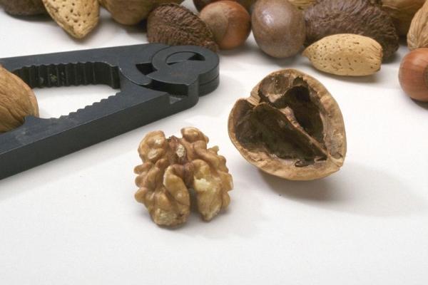 核桃殼泡水喝有什么好處 大核桃殼的功效與作用