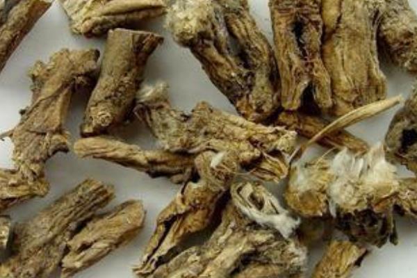 中藥白頭翁市場價格多少錢一斤 白頭翁的功效和作用