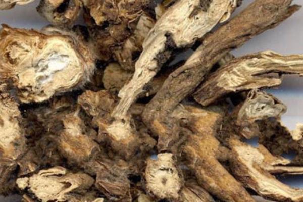 中藥白頭翁市場價格多少錢一斤 白頭翁的功效和作用