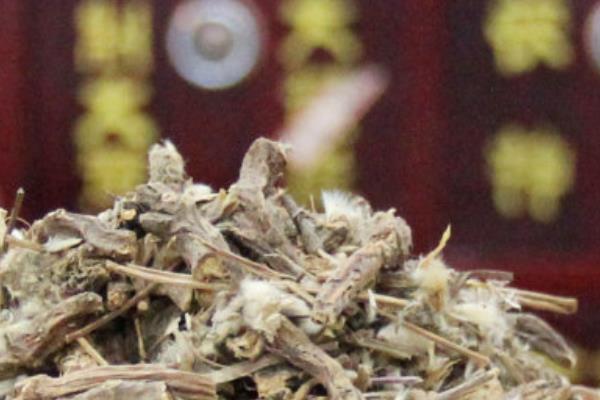 中藥白頭翁市場價格多少錢一斤 白頭翁的功效和作用