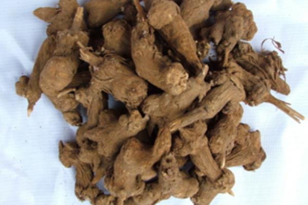 中藥白頭翁市場價格多少錢一斤 白頭翁的功效和作用