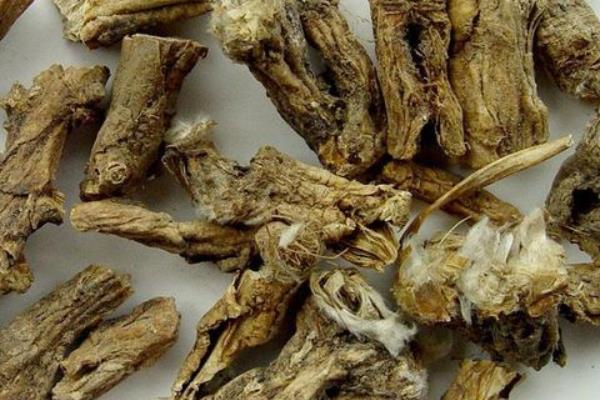 中藥白頭翁市場價格多少錢一斤 白頭翁的功效和作用