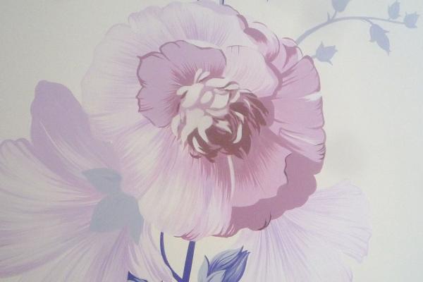 木槿昔年是什么意思 木槿昔年類似的句子