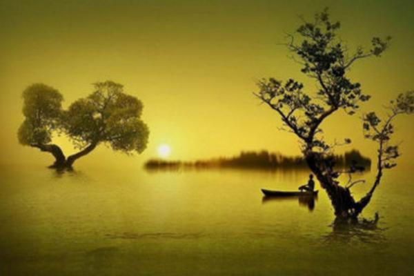 木槿昔年是什么意思 木槿昔年類似的句子