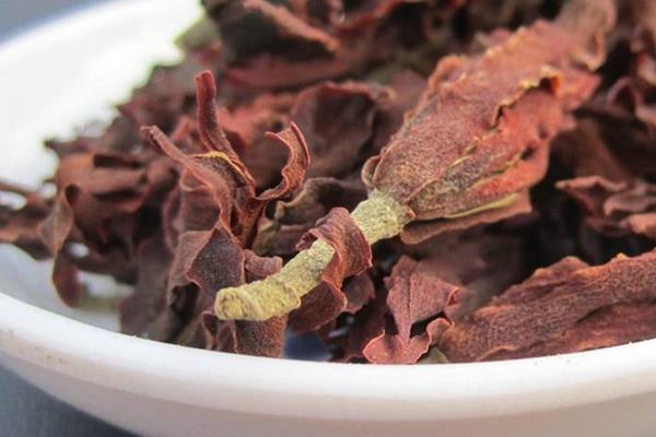 玉蘭花茶的功效與作用及禁忌 玉蘭花茶的做法