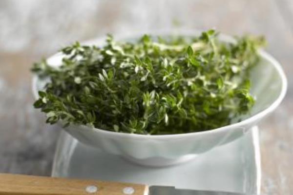 百里香精油功效與作用 百里香精油使用方法