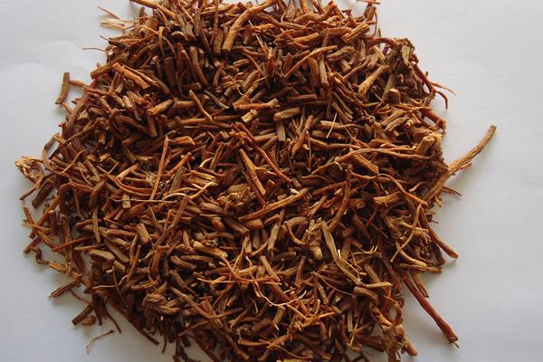 龍膽功效與作用及禁忌 龍膽藥用價(jià)值