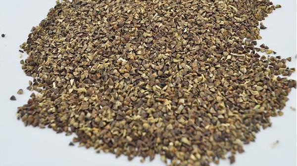 白頭翁種子市場價格多少錢一斤 白頭翁種子的種植方法