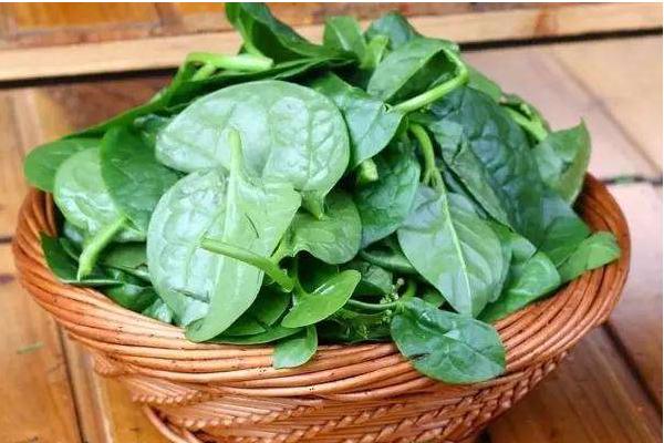 吃潺菜能降血糖嗎 潺菜孕婦可以吃嗎