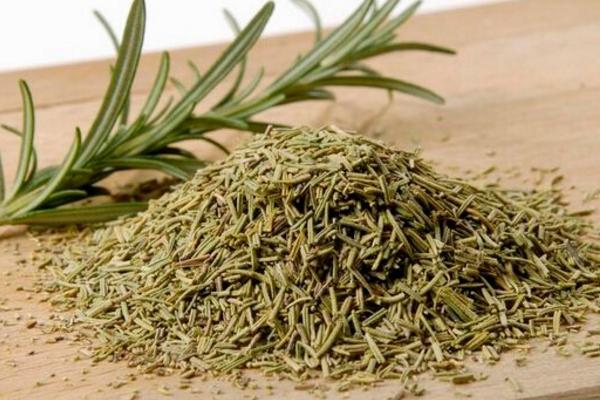 迷迭香市場價格多少錢一斤 迷迭香的養殖方法與注意事項