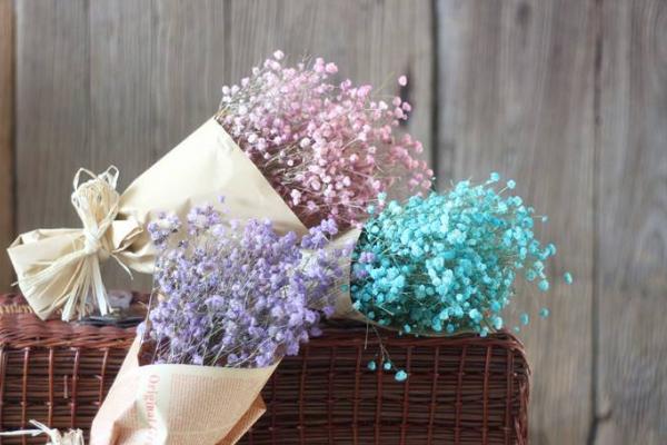 滿天星適合送什么人 滿天星花期的管理