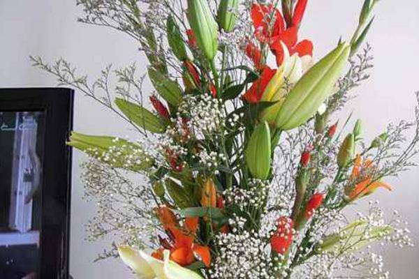 滿天星適合送什么人 滿天星花期的管理