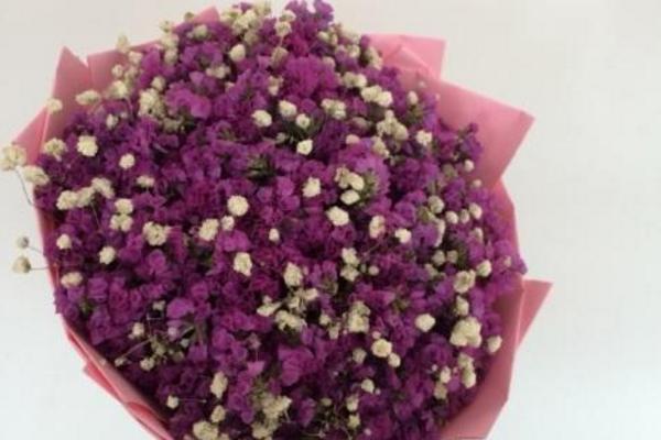 滿天星適合送什么人 滿天星花期的管理