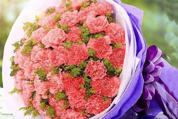 滿天星適合送什么人 滿天星花期的管理