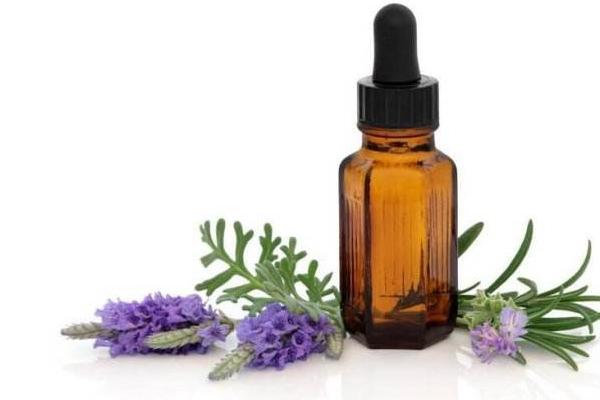 迷迭香精油能生發嗎 迷迭香精油的使用方法