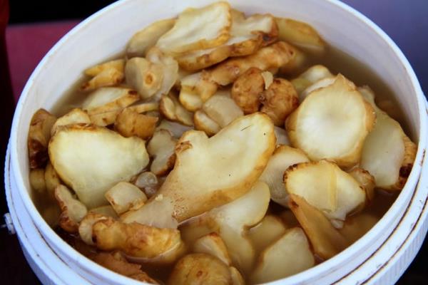 菊芋的功效與作用及禁忌 菊芋藥用價值