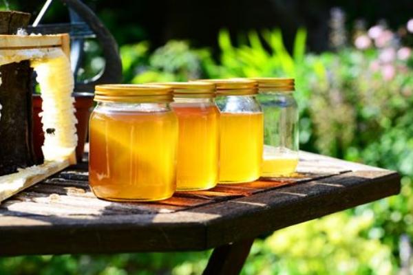 鴨腳木蜂蜜功效與作用 鴨腳木蜂蜜是幾等蜂蜜