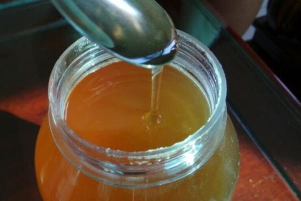 鴨腳木蜜市場價格多少錢一斤 鴨腳木蜜的作用與功效