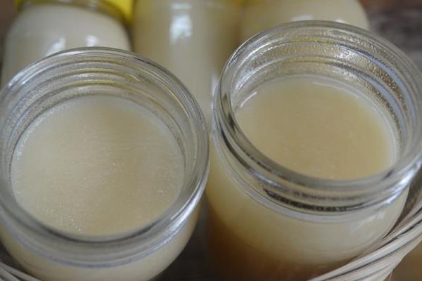 鴨腳木蜜市場價格多少錢一斤 鴨腳木蜜的作用與功效