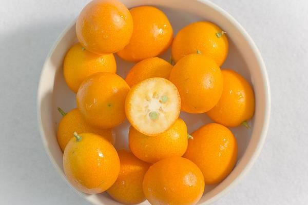 金桔的功效與作用及禁忌 金桔營養(yǎng)價值