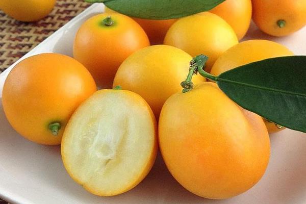 金桔怎么吃 吃金桔會上火嗎