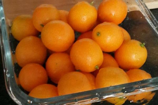 金桔怎么吃 吃金桔會上火嗎