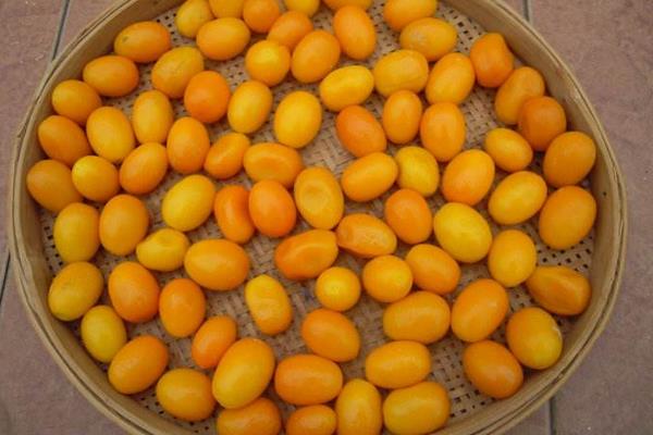 金桔怎么吃 吃金桔會上火嗎