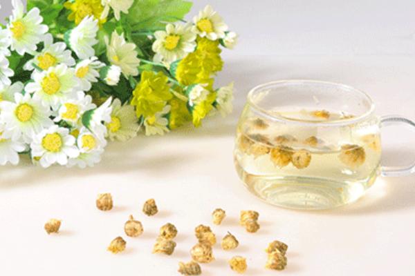 槐花茶的制作方法 槐花茶的功效與作用