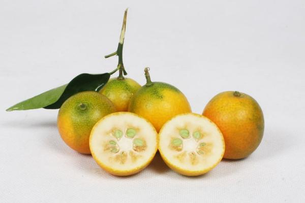 孕婦可以吃金桔嗎 吃金桔有哪些好處