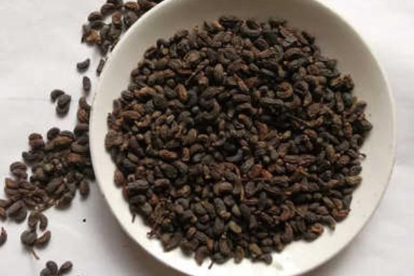 女貞子泡水喝的功效與作用及禁忌  女貞子的臨床配方