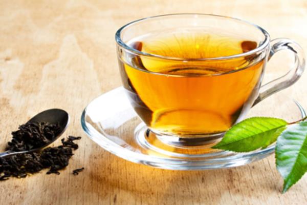 紅葉女貞小苗市場價格多少錢一棵 紅葉女貞特性及用途