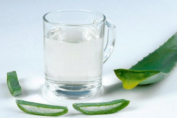 庫拉索蘆薈種植方法與注意事項 庫拉索蘆薈的功效