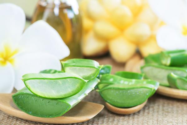 蘆薈的功效與作用及禁忌 蘆薈的藥用價值