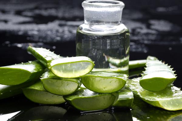 蘆薈怎么敷臉 蘆薈敷臉多長時間洗掉