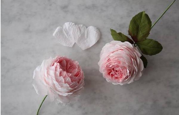 康乃馨怎么折簡單易學（圖解步驟） 康乃馨怎么畫