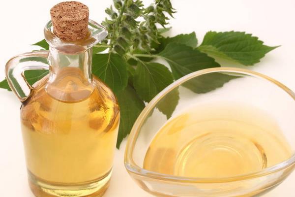 紫蘇葉怎么吃 孕婦可以吃紫蘇嗎