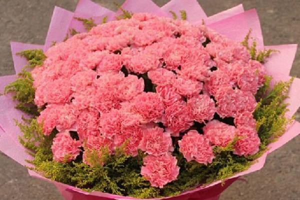 康乃馨市場(chǎng)價(jià)格多少錢一朵(一束) 康乃馨怎么挑選