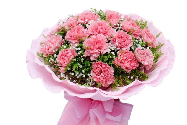 康乃馨市場(chǎng)價(jià)格多少錢一朵(一束) 康乃馨怎么挑選