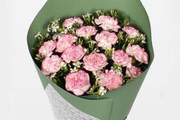 康乃馨市場(chǎng)價(jià)格多少錢一朵(一束) 康乃馨怎么挑選