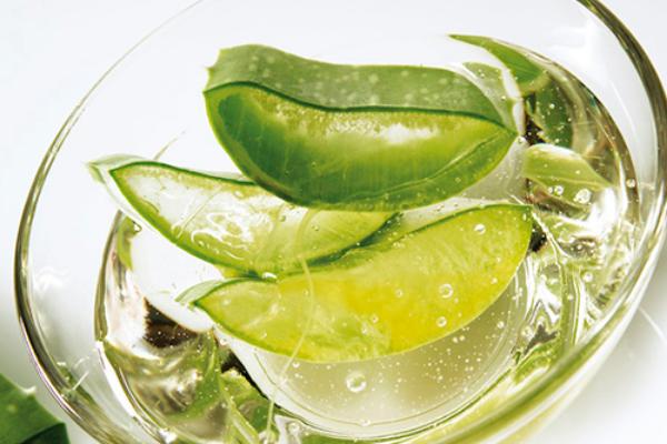 蘆薈圖片大全 蘆薈怎么用