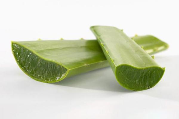 蘆薈葉的功效與作用及禁忌 蘆薈可以直接涂在臉上嗎（可以吃嗎）