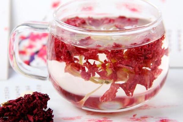 康乃馨圖片大全 康乃馨花語及寓意