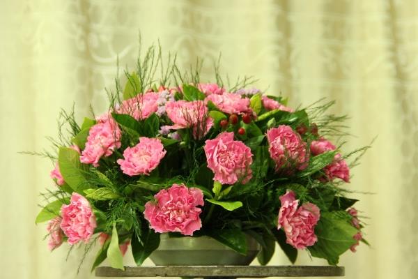 送康乃馨代表什么意思 康乃馨適合送什么人