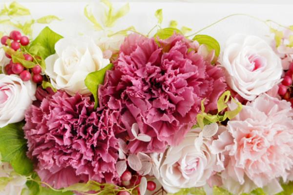 康乃馨干花制作方法與注意事項(xiàng) 康乃馨的作用