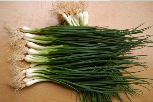 小香蔥功效與作用及禁忌 小香蔥營養價值