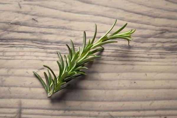 迷迭香怎么吃 迷迭香在菜市場叫什么