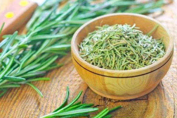 迷迭香茶葉市場價格多少錢一斤 迷迭香茶葉怎么挑選